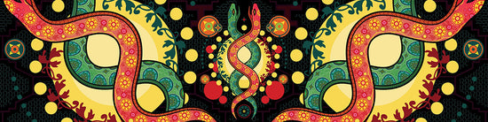 Shipibo Banner Mobile